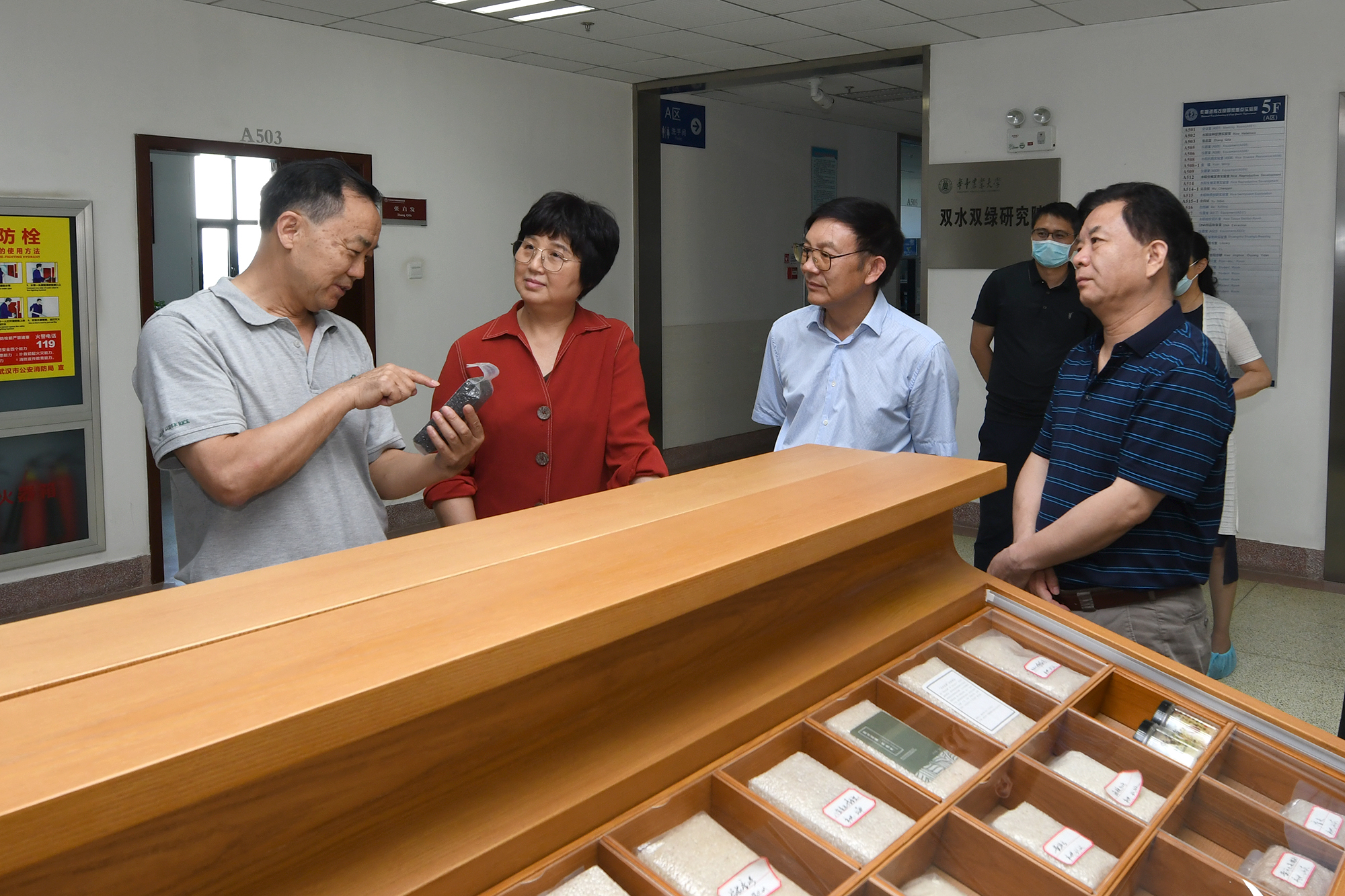 张启发院士为王玲一行讲解黑米有关科研进展(记者 刘涛 摄) 张启发院士为王玲一行讲解黑米有关科研进展(记者 刘涛 摄)
